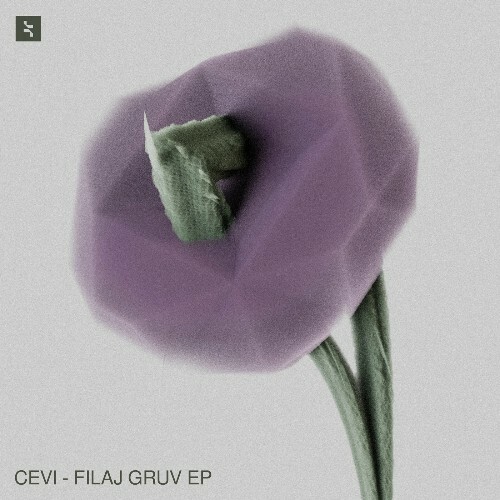  Cevi - Filaj Gruv (2025) 