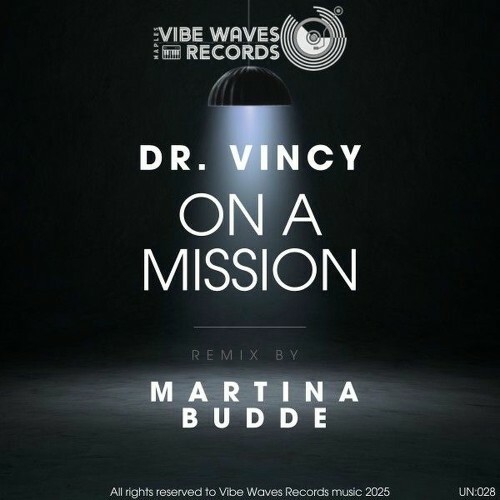  Dr. Vincy - On a Mission (2025) 
