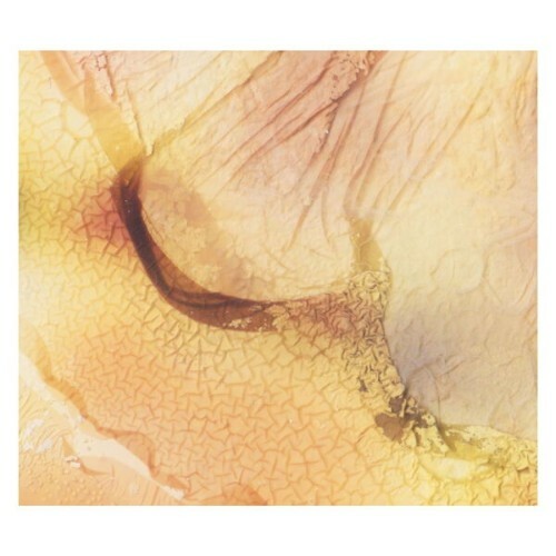  Fields We Found - thoughts persist (2026) 
