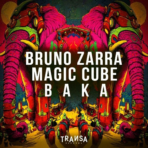 VA - Bruno Zarra & Magic Cube - Baka (2024) (MP3) METIIRT_o