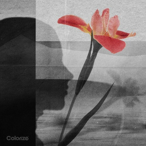  Polar Inc. & Anna-Sophia Henry - Sympathy (2026) 