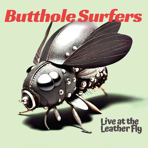 Butthole Surfers - Live At The Leather Fly (2025) Butthole Surfers - Live At The Leather Fly (2025)
