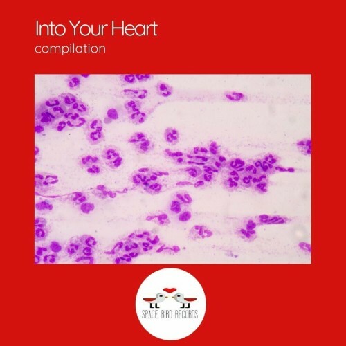 VA - Reclacios - Into Your Heart (2024) (MP3)