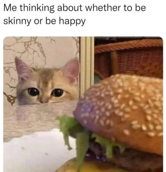 ME11XQD0_o.jpg