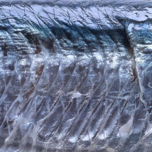  15 15 - Mārara (2026) 