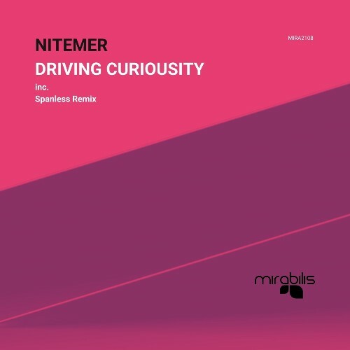 Nitemer — Driving Curiosity (2026)