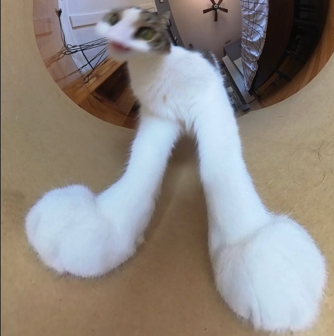 ME1E1Y77_o.jpg