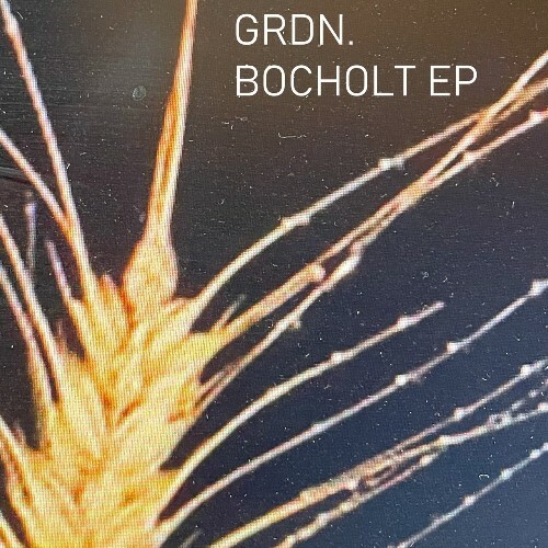  GRDN. - Bocholt (2024) 
