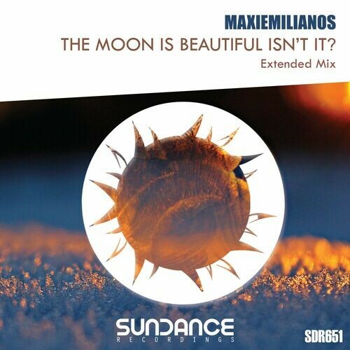  Maxiemilianos - The Moon Is Beautiful Isn't It? (2024) 