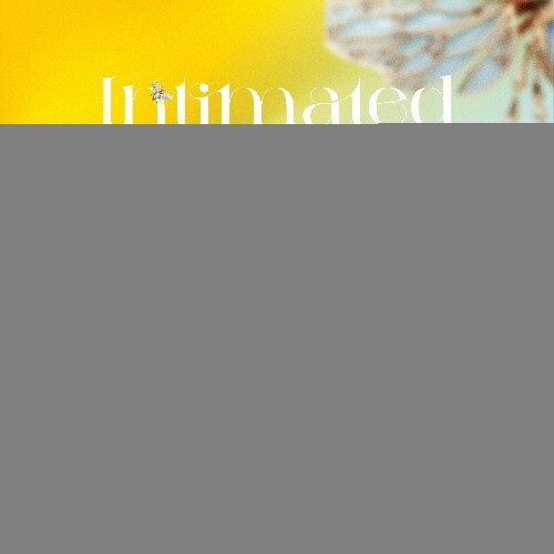 ILY, Katze - Intimated Sun (2024)