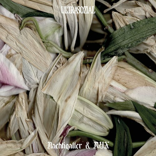  Nachtigaller & RYX - Crushed Memories (2026) 