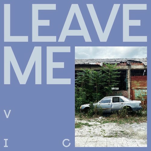  Visions In Clouds - Leave Me (2025) 