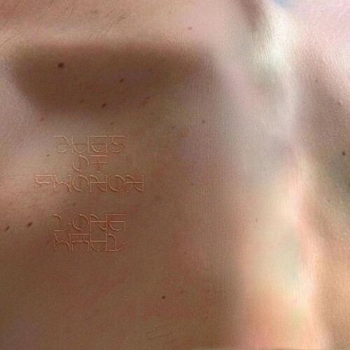  Bugs of Phonon - Long Haul (2025) 
