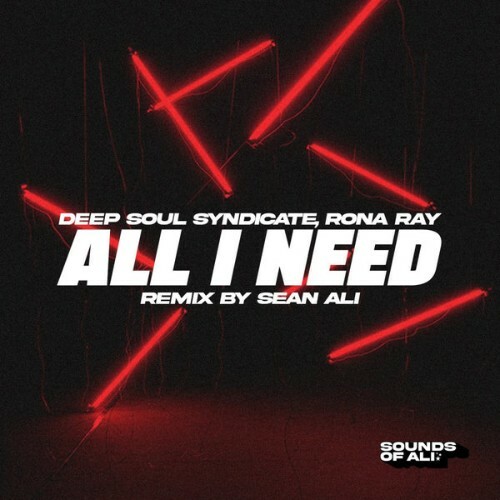  Deep Soul Syndicate x Rona Ray - All I Need (Sean Ali Remix) (2025) 