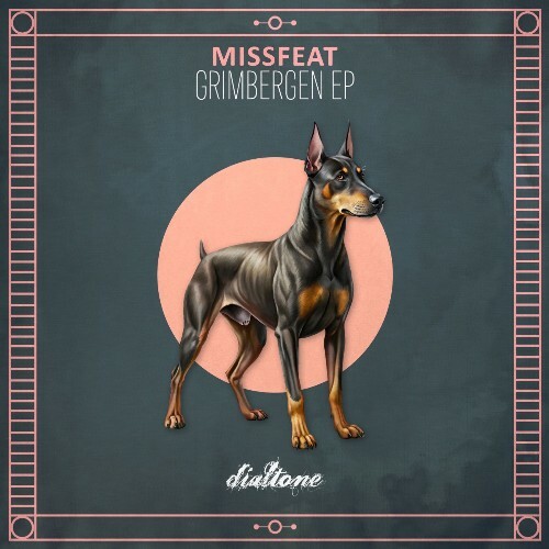  Missfeat - Grimbergen (2026) 