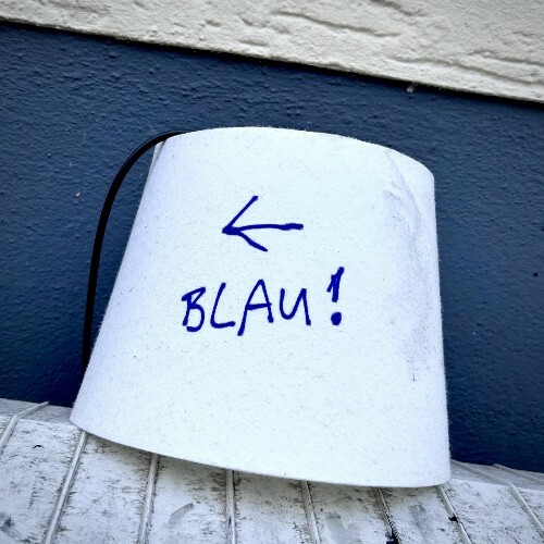  Art Ensemble of Neurotica - Der Gastmusiker Blau (2025) 