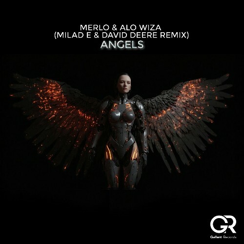  Merlo & Alo Wiza - Angels (2024) 