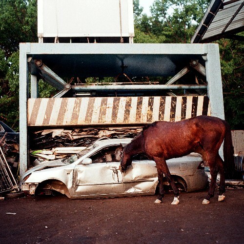  DECADENT - RAGE BAITS (2026) 