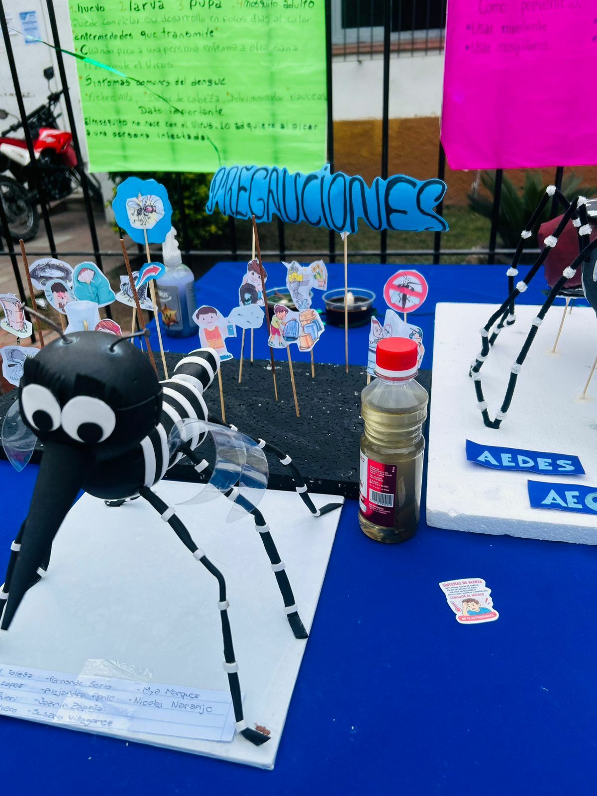 Trabajo en equipo