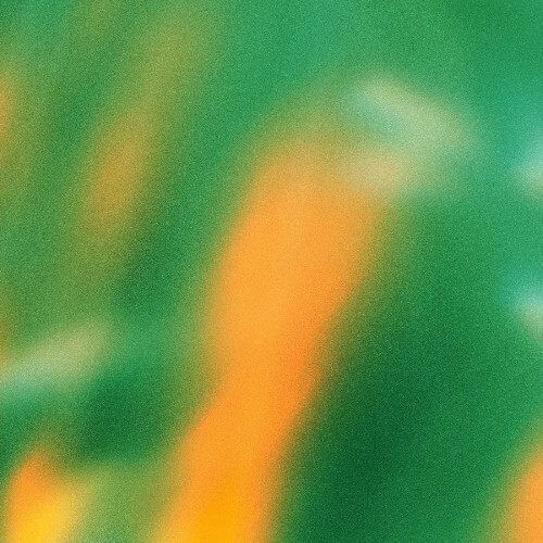  M.R.E. - Plausible Placebo (2026) 