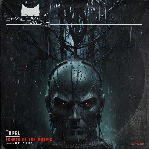  Tupel - Echoes of the Matrix (2025) 