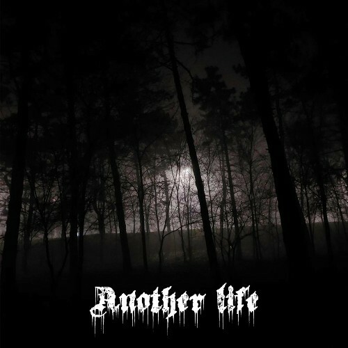 VA - Dying Raven - Another life (2023) (MP3)
