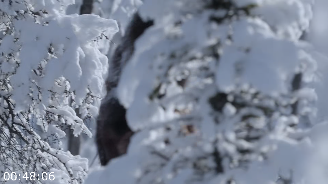 [Image: ME17HSCF_o.png]