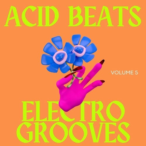  Acid Beats Electro Grooves, Vol.5 (2024) 