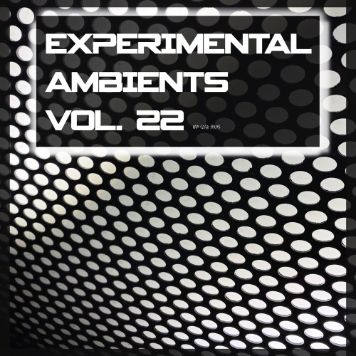  Experimental Ambients, Vol. 22 (2025) 