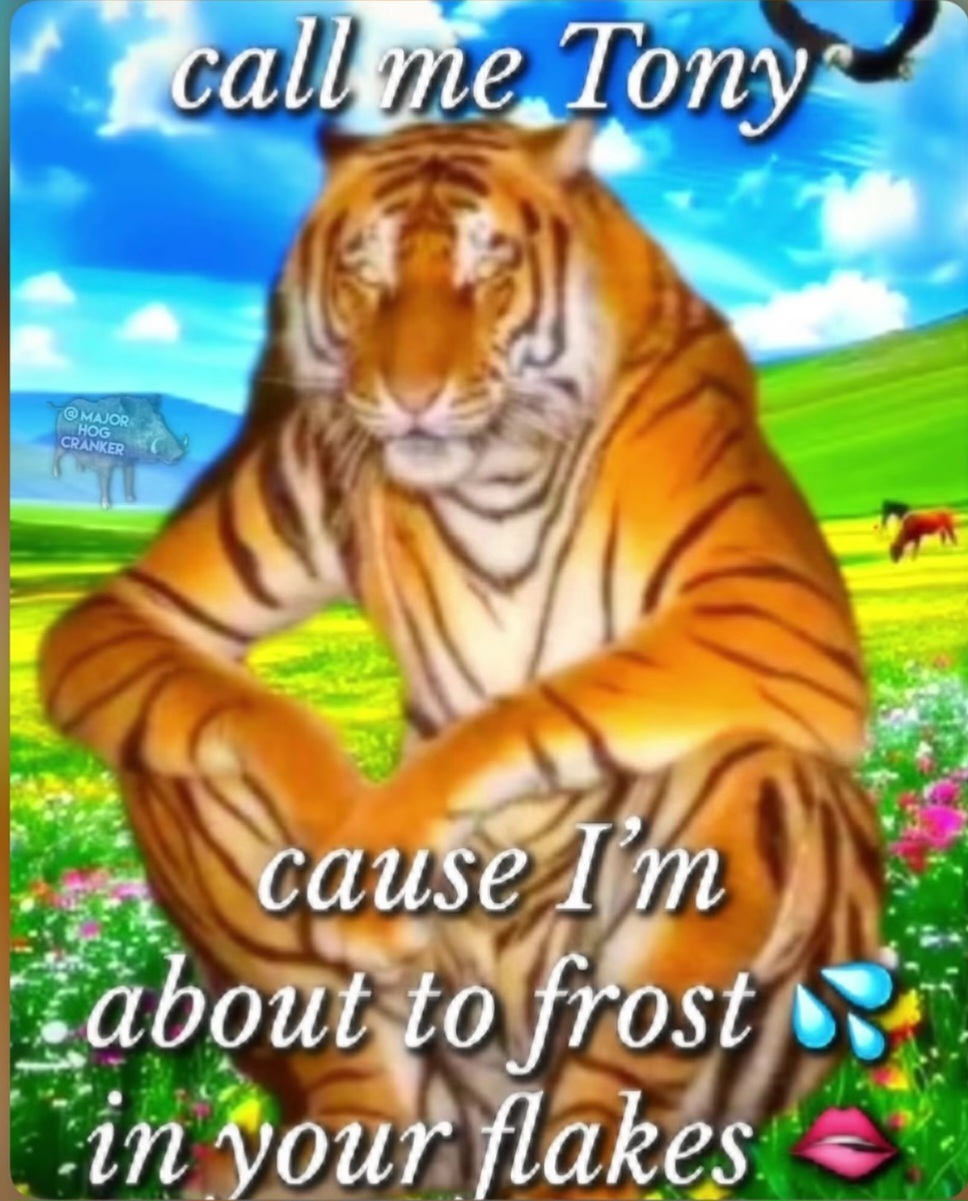 ME1BNDXG_o.jpg