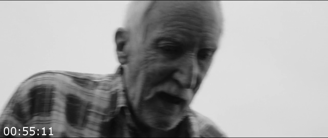 [Kép: ME1BHF3T_o.png]