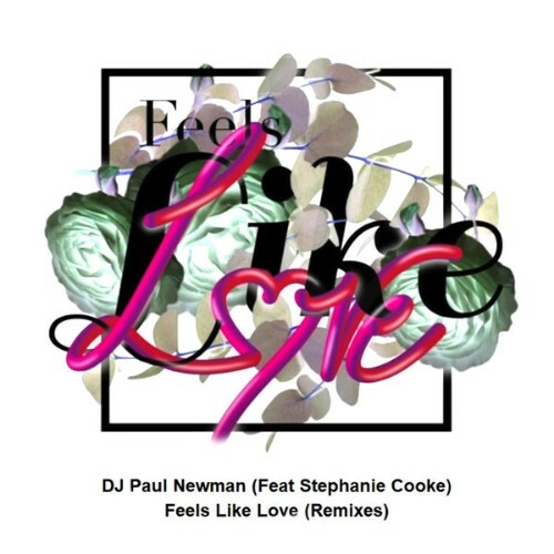  DJ Paul Newman - Feels Like Love (Remixes) (2025) 