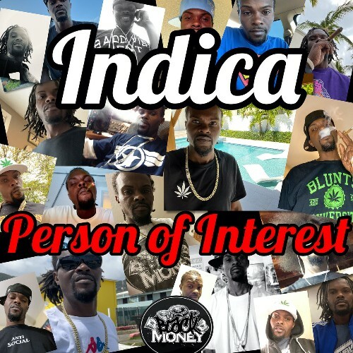  Indica - Person Of Interest (2026) 