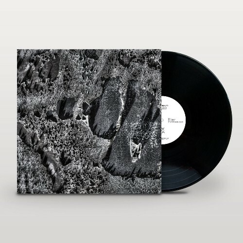  Coaxial System - Institut Night Edt. (2025) 