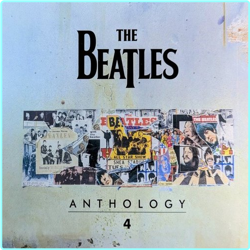 [Image: ME18C710_o.png]