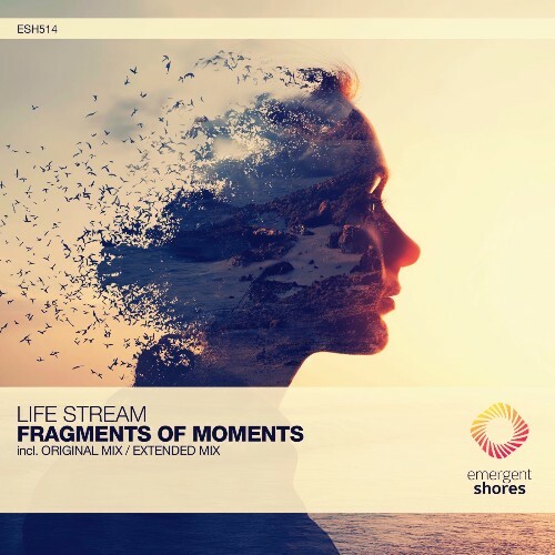  Life Stream - Fragments of Moments (2025) 