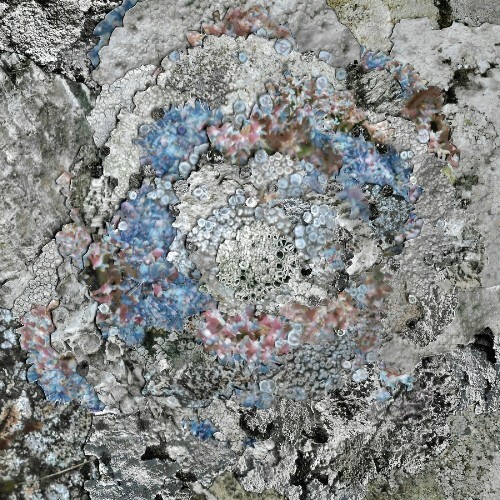  Kinzua - The Current Thing (2025) 