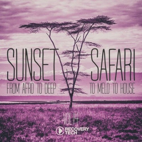  Sunset Safari, Vol. 14 (2025) 