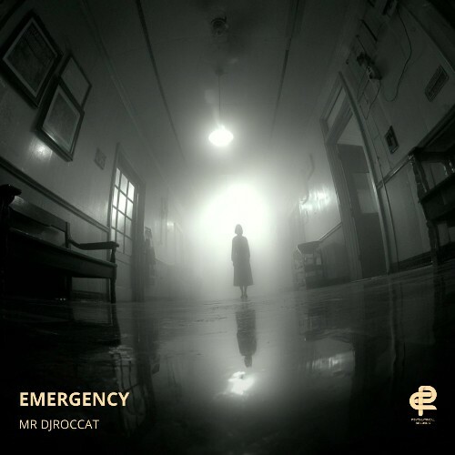  Mr DjRoccat - Emergency (2025) 