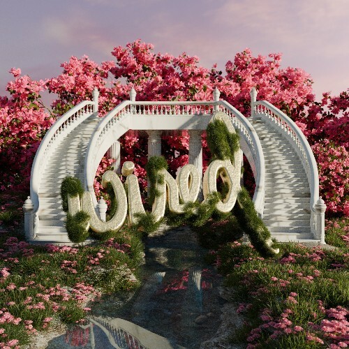 D4NYO — Tapinda (2026)