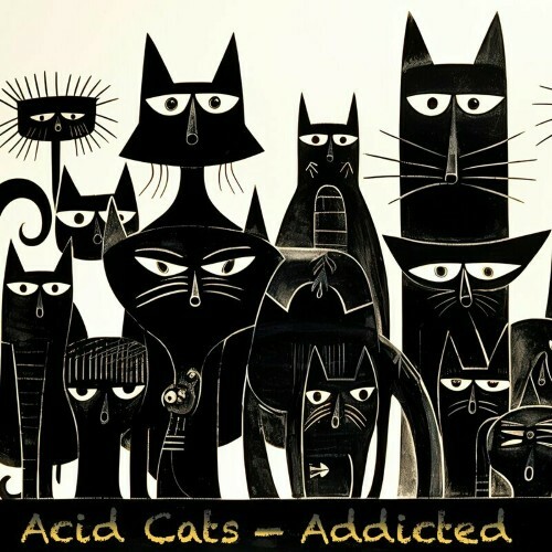 Acid Cats - Addicted (2024)