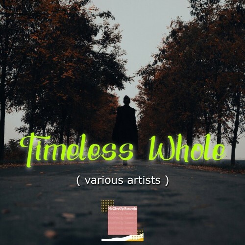  Nogiveup - Timeless Whole (2023) 