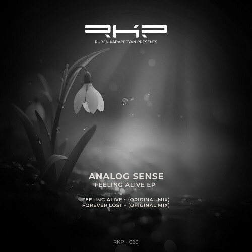  Analog Sense - Feeling Alive (2026) 