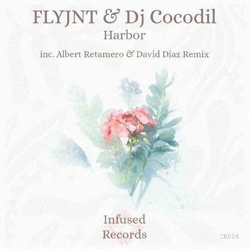  FLYJNT & DJ Cocodil - Harbor (2025) 