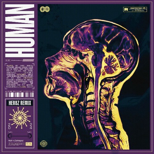  Noir Dnb & Doinkgod - Human (Herbz Remix) (2026) 