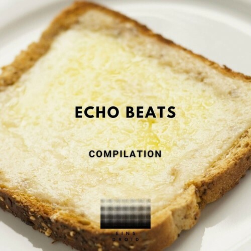 VA | Kepassys - Echo Beats 2024 год Скачать Онлайн в Mp3 (Бесплатно)