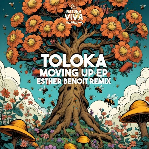  TOLOKA - Moving Up Ep (2024) 