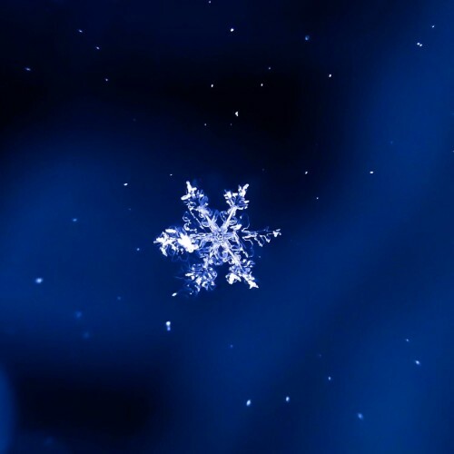  Winter Nights (Ambient, Focus, Meditation, Sleep) (2025) 