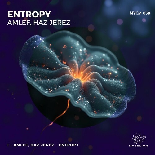  Amlef, Haz Jerez - Entropy (2025) 