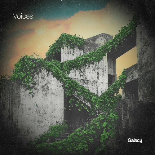  Voices GLCYCOMP006 (2025) 